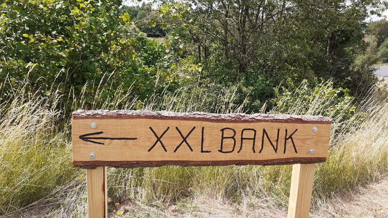 Holzschild mit der Aufschrift 'XXL BANK' und einem Pfeil nach links, umgeben von Gras und Bäumen.