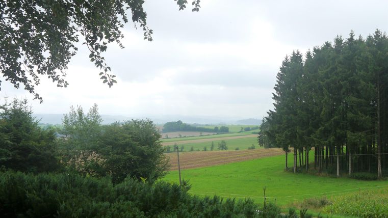 Eine landschaftliche Szene mit grünen Feldern und Bäumen. Der Himmel ist bewölkt, was eine ruhige Atmosphäre schafft.