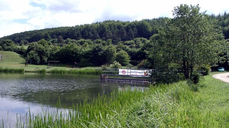 Un lac de barrage avec un environnement verdoyant et une forêt en arrière-plan.