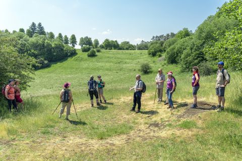 Un groupe de randonneurs se tient sur une prairie verte, entouré d'arbres et de collines, par temps ensoleillé.