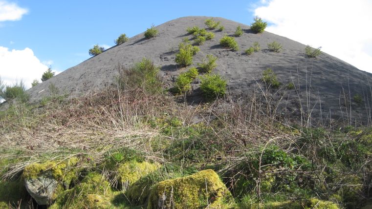 Ein karger Hügel mit vereinzeltem Pflanzenbewuchs und Moos im Vordergrund unter blauem Himmel.