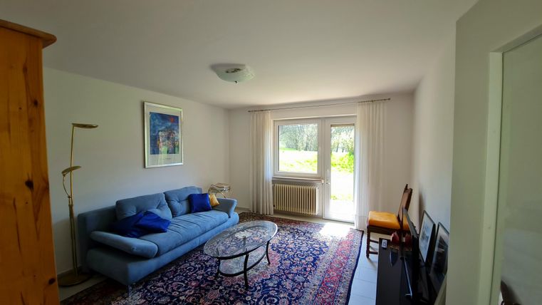A cozy living room with a blue sofa, a carpet, and a coffee table. Bright windows bring daylight into the room.