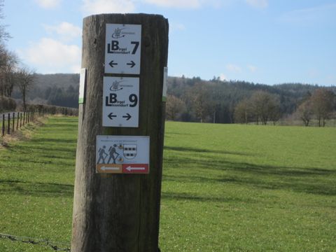 Wegweiser in einer ländlichen Landschaft mit grünen Feldern und Wald im Hintergrund.