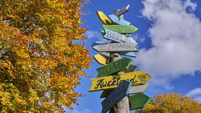 Un panneau en bois avec des panneaux colorés indique les directions vers différentes villes. Les feuilles d'automne à l'arrière-plan donnent à la scène une atmosphère chaleureuse.
