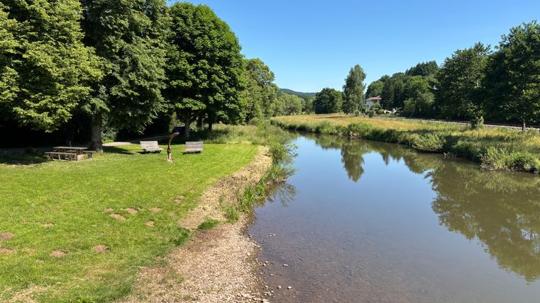 River landscape with trees, meadow and benches on the banks.