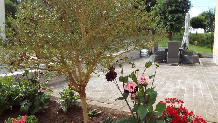 Ein gepflegter Garten mit bunten Blumen und einem kleinen Baum. Im Hintergrund steht eine gemütliche Sitzecke mit Gartenmöbeln.