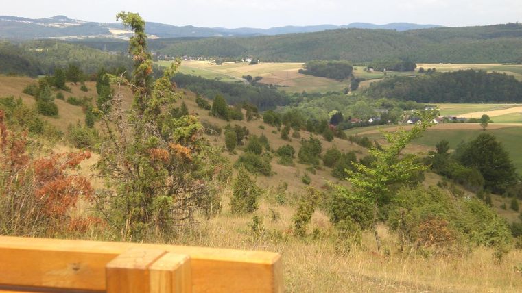 Eine malerische Landschaft mit sanften Hügeln und grünen Wäldern. Im Vordergrund steht eine Holzbank, die den Blick auf die Umgebung eröffnet.