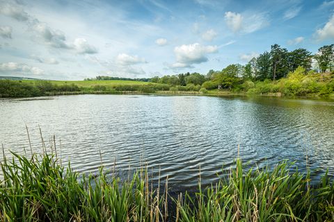 Blau-glitzernde Wasseroberfläche des Eichholzmaars umgeben von einer grünen Landschaft. 