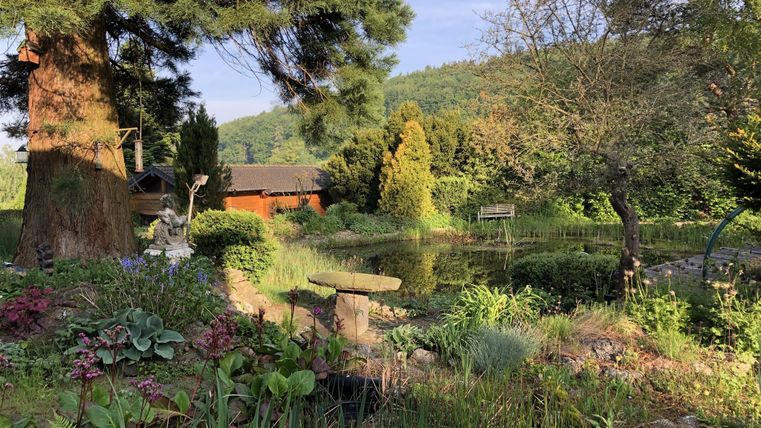 Een mooie tuin met veel planten en een rustige vijver. Op de achtergrond zijn bomen en een klein houten gebouw te zien.
