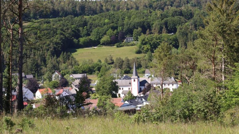 Eine malerische Landschaft mit einem kleinen Dorf im Vordergrund. Umgeben von grünen Wäldern und Wiesen.