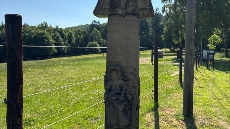 Stone cross with relief on a meadow, surrounded by a fence and trees in the background.