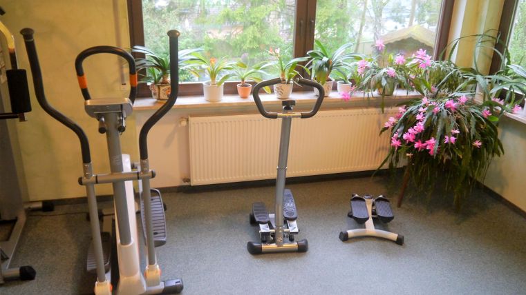 Een lichte fitnessruimte met trainingsapparatuur. Raam met groene planten en bloemen zorgen voor een aangename sfeer.