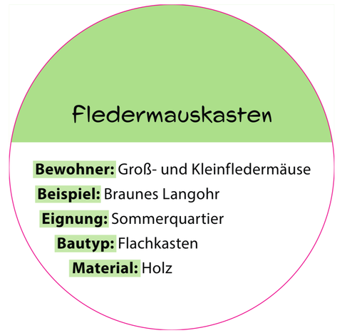 Informationsschild "Fledermauskasten"