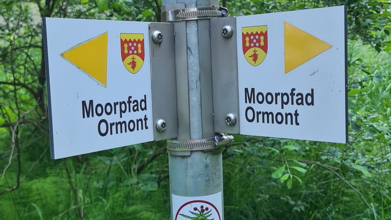 Signpost with the inscription 'Moorpfad Ormont' in a green wooded area.