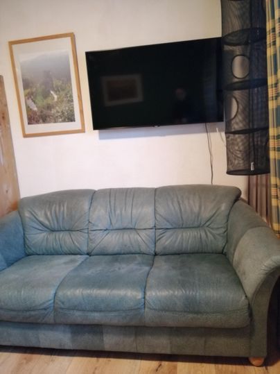 Een groene bank staat voor een grote televisie aan de wand. Naast de televisie hangt een ingelijst schilderij.