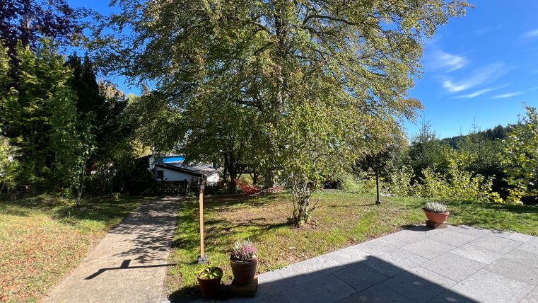 Een mooie tuin met een grote boom en een heldere, blauwe lucht. Het pad leidt door het groene gras naar een huis op de achtergrond.