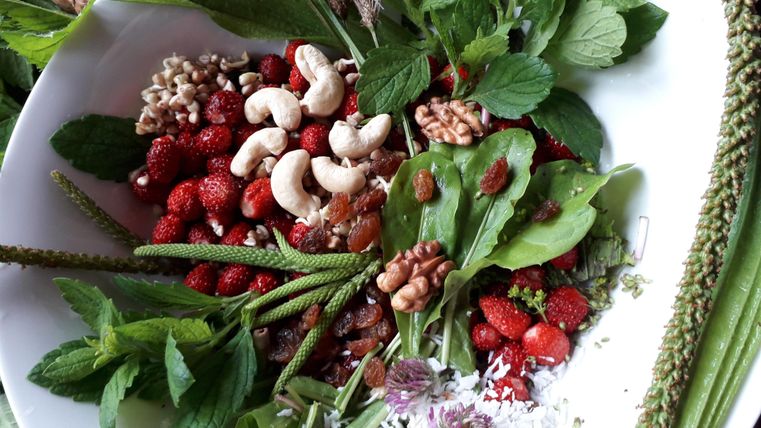 A colorful plate with fresh herbs, strawberries, nuts, and edible flowers. The variety of ingredients offers a harmonious blend of flavors and colors.