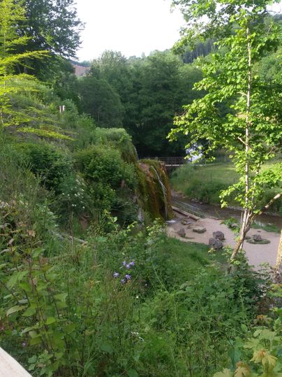 Ein idyllischer Wasserfall umgeben von üppigem Grün. Die Landschaft ist friedlich und einladend.