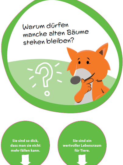 Quiz-Schild zu Alten Bäumen mit Fuchs-Maskottchen.