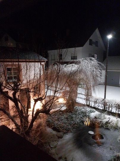 Een besneeuwd landschap 's nachts met verlichte bomen en een kleine vijver. Op de achtergrond zijn huizen te zien.