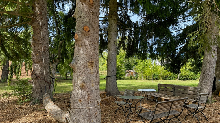 Une agréable zone de repos sous de grands arbres. Le sol est recouvert de feuilles sèches et des plantes vertes entourent l'espace.