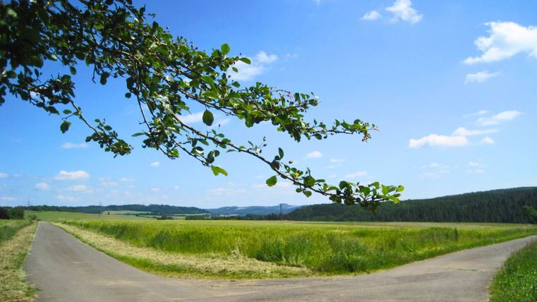 Een verdeeld wandelpad in een landelijk landschap met blauwe luchten en groene velden.