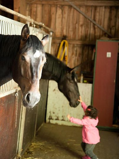 Ein Kind in einem rosa Mantel steht in einem Stall und spielt mit zwei Pferden. Die Atmosphäre ist freundlich und vertraut.