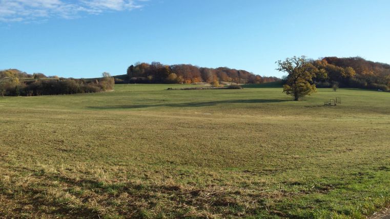 Eine ruhige Wiese mit sanften Hügeln im Hintergrund. Der Himmel ist klar und die Farben der Bäume deuten auf den Herbst hin.