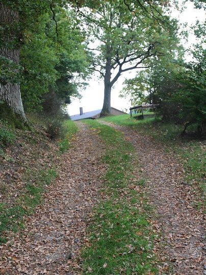 Ein schmaler Weg führt zwischen Bäumen entlang. Am Ende des Weges ist ein Gebäude sichtbar.