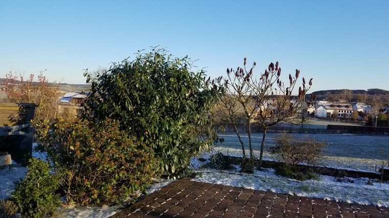 Ein schöner Ausblick auf eine Landschaft mit Bäumen und Sträuchern. Der Boden ist teilweise mit Schnee bedeckt und der Himmel ist klar.