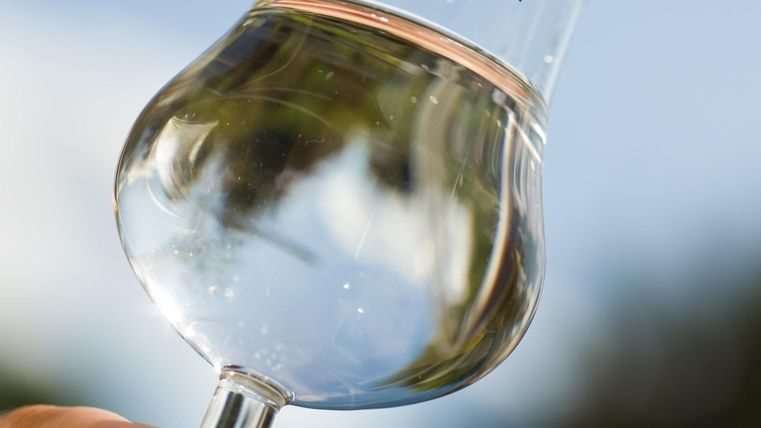 Un verre d'eau avec un bord clair et lisse, tenu par une main. En arrière-plan, des éléments verts flous sont visibles.