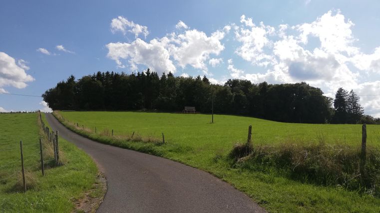 Asphaltierter Weg durch grüne Wiese, führt zu einem Wald. Blauer Himmel mit weißen Wolken.