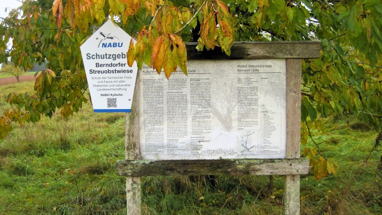 Infotafel im Schutzgebiet Berndorfer Streuobstwiese mit NABU-Logo und Text über Naturschutz.