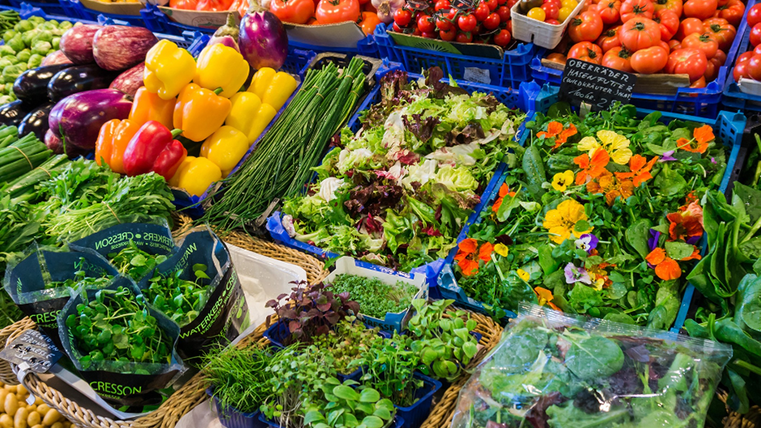 Eine große Auwahl an Gemüse wird dargestellt. Salat, Tomaten, Kartoffeln sind zu sehen.