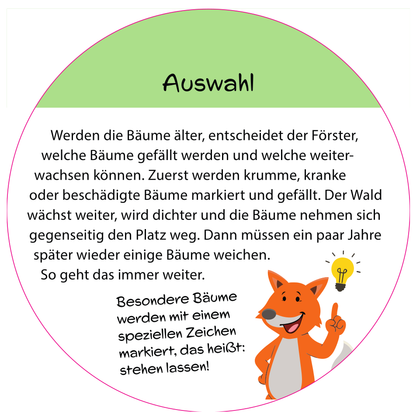 Informationsschild "Auswahl" mit Fuchs-Maskottchen.