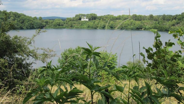 Ein ruhiger See umgeben von üppigem Grün und Bäumen. Der Himmel ist bewölkt und die Landschaft wirkt friedlich.