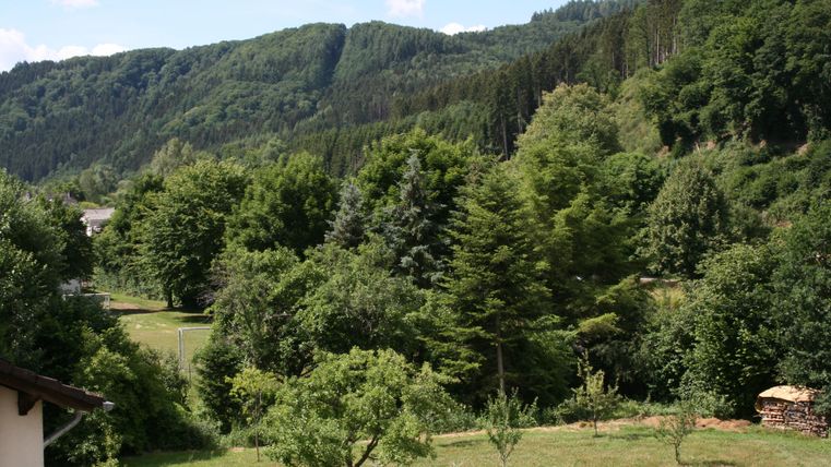 Eine grüne Landschaft mit bewaldeten Hügeln und vielen Bäumen. Im Vordergrund gibt es eine Wiese mit einigen Obstbäumen.