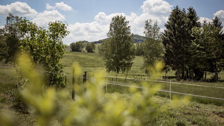 Eine grüne Wiese mit Bäumen und sanften Hügeln im Hintergrund. Der Himmel ist blau und hat einige Wolken.