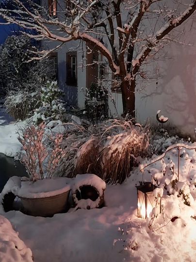 Een wintertuin met met sneeuw bedekte planten en een verlichte lantaarnstoel. Op de achtergrond is een huis met warm licht zichtbaar.
