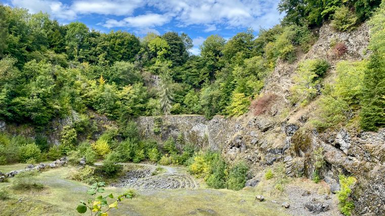 View of a green quarry with trees and rocks.