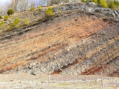 Couches de roche inclinées au sommet de Rockeskyller Kopf, recouvertes d'arbres en haut. Les couches montrent différentes teintes de terre.