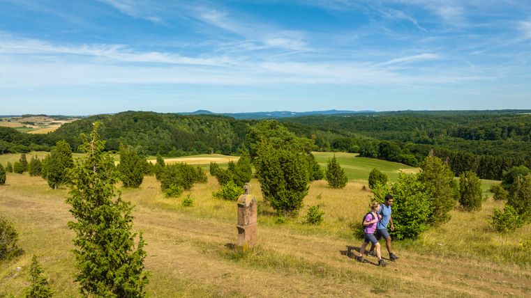 Deux randonneurs sur un sentier dans un paysage vallonné avec des arbres et un vaste ciel.
