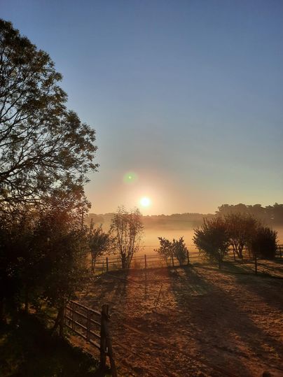 Ein malerischer Sonnenaufgang über einer nebligen Landschaft. Bäume und ein Zaun rahmen die Szene ein.