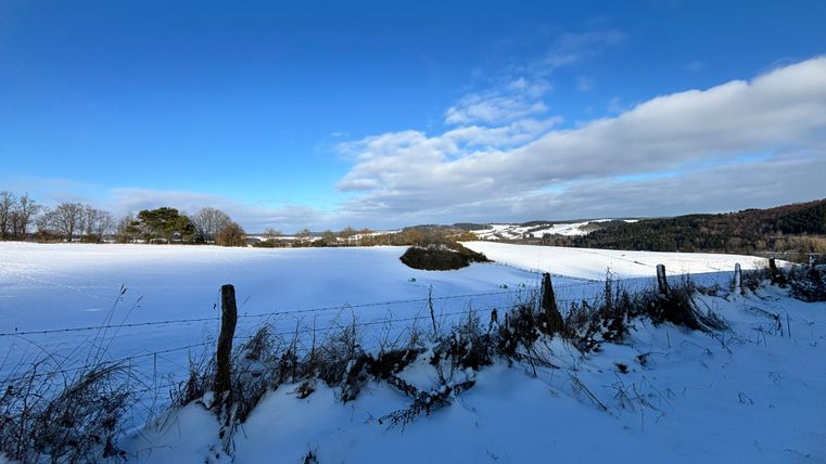 Eine winterliche Landschaft mit schneebedecktem Feld und einem klaren blauen Himmel. Im Hintergrund sind sanfte Hügel und vereinzelte Bäume zu sehen.