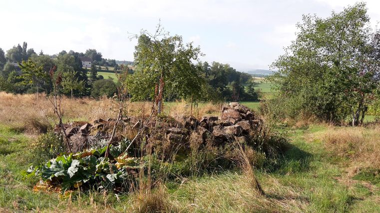 Een groene wei met een stenen hoop en verspreide bomen. Op de achtergrond zijn zachte heuvels en een heldere lucht te zien.