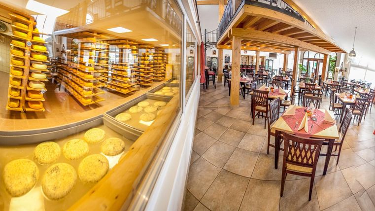 Ein einladendes Restaurant mit Holzdekor und einem Blick auf Reifekäse. Die Tische sind für Gäste vorbereitet und es gibt Regale voller Käse im Hintergrund.