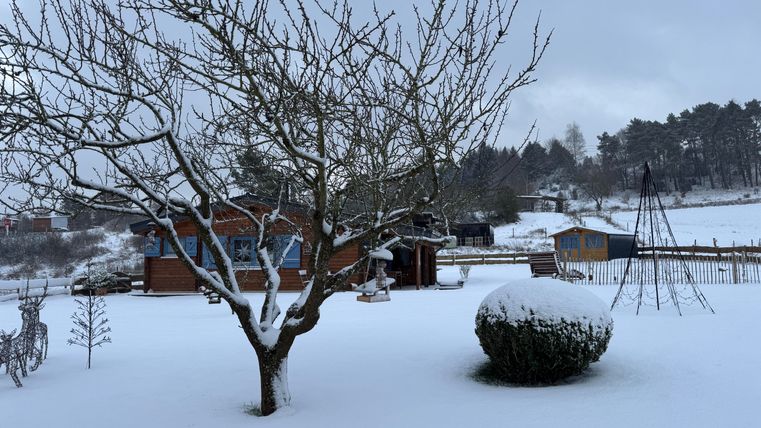 Eine verschneite Landschaft mit einem Baum im Vordergrund und einem Holzhaus im Hintergrund. Der Himmel ist grau und die Umgebung ist ruhig.