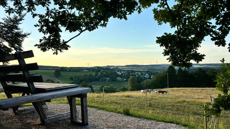 Eine Holzbank mit Blick auf eine grüne Landschaft und sanfte Hügel. Im Hintergrund sind Pferde und ein klarer Himmel zu sehen.
