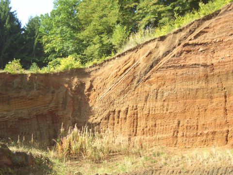 Erosionswand mit sichtbaren Erdschichten und Vegetation oben.