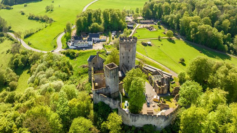 Luftaufnahme der Kasselburg, umgeben von grünen Wäldern und Wiesen, mit Gebäuden und Straßen im Hintergrund.